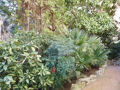 Flowerbeds